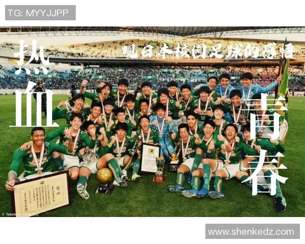 足球梦想与热血青春交织的银幕传奇电影推荐